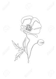 How to paint poppy field watercolour lots of advice & fun techniques. Poppy Flower Line Art Minimalist Contour Continuous Drawing Royalty Free Cliparts Vectors And Stock Illustration Image 166159006