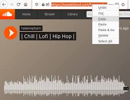 Copy the url from the address bar at the top of your browser. How To Download Soundcloud Playlists 4k Download