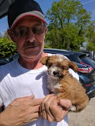 We had a few Birthdays this month! Happy birthday to all these happy  puppers!