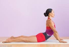 Yoga Cobra Pose 3 Cobra Pose Cobra Pose Yoga Yoga Poses