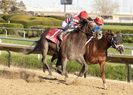 2017 Preakness Stakes Cheat Sheet Americas Best Racing