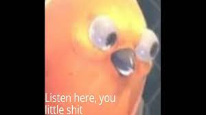 Maybe you would like to learn more about one of these? Listen Here You Little Shit Bird Google Search Skits Funny Memes Memes