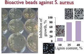 Antimicrobial hybrid cellulose-lignin beads – Topochemical Engineering & Bioinspired  Fabrication