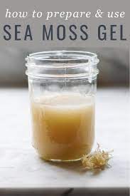 The sea moss gel will thicken in the fridge after 2 hours. What Is Sea Moss Benefits How To Make Irish Sea Moss Gel
