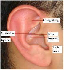 Pin On Auricular Acupuncture