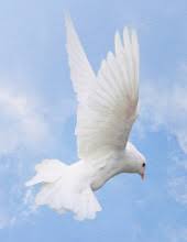 Obituary information for MRS. JANET LOUISE FINLEY