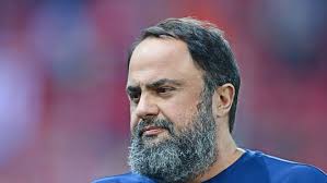 Cães colocados para adoção pela Guarda Municipal: inscrições são encerradas  e alguns já se despedem do canil