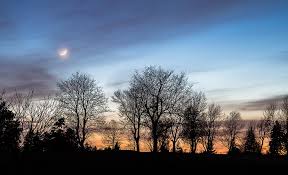 The silver moon race is about challenging yourself, taking your endurance ability, and miles to new heights. Sunset With Trees And Crescent Moon Photograph By Greg Mcgill