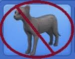 Check out the other twitter q&a posts here, here, here, here, and here! Mod The Sims New Pet Genetics No More Skinny Clones Update 5 12 2020 New Flavors
