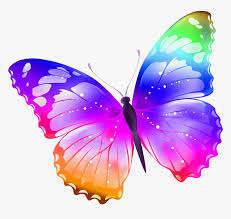 You can also upload and share your favorite butterfly pictures wallpapers. Transparent Mariposas Vector Png Sticker Butterfly Png Download Kindpng