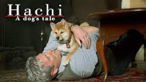 Netflix and third parties use cookies and similar technologies on this website to collect information about your browsing activities which we netflix supports the digital advertising alliance principles. Is Hachi A Dog S Tale 2009 On Netflix Costa Rica