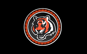 Search hd desktop wallpapers and download them for free. Bengals Laptop Wallpapers Top Free Bengals Laptop Backgrounds Wallpaperaccess