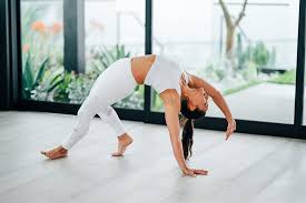 Free yoga video for beginners download. Alo Moves Your At Home Studio