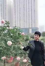 Cúng ông táo về trời vào 23 tháng chạp âm lịch hằng năm là một nét đẹp trong truyền thống văn hóa của người việt. Sau Gáº§n 4 NÄƒm Vá» HÆ°u Cuá»™c Sá»'ng Cá»§a Nsnd Minh Háº±ng Giá» Ra Sao Tin Tá»©c Online