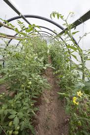 How to build a hoop house. Hoop House Plans Free The Best You Ll Find On The Internet