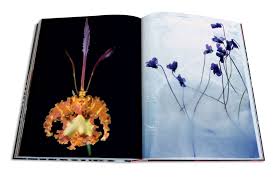 Check spelling or type a new query. The Flowers Art Bouquets Classics Dubly Sixtine 9781614285144 Amazon Com Books