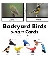 Bird Bird Bird Bird Is The Word Song Montessori Inspired Backyard Birds 3 Part Cards Backyard Birds Birds Montessori