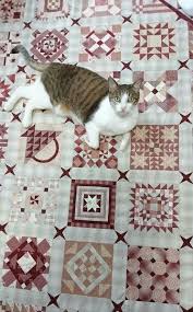 nearly insane quilt 4 petit キルティングプロジェクト 日本のキルト パッチワーク