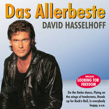 Image result for hasselhoff