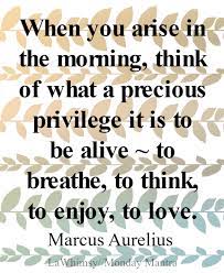 Monday Mantra 151 When You Arise In The Morning Think Of What A Precious Privilege It Is To Be Alive Lawhimsy