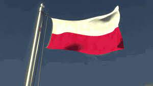 You can click on any glitter image to open you will get option to share country flag waving gif directly on your social media page. Flaga Polska Gif Tenor Gif Keyboard Bring Personality To Your Conversations Say More With Tenor Gif Poland Flag Cool Gifs
