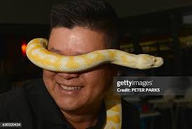 229 Darwin Fish Stock Photos, High-Res Pictures, and Images