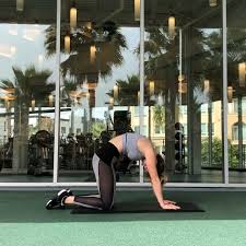 Ab Activation Diaphragm Breathing 30 Seconds Cat Cow Stretch 30 Seconds Bird Dog Crunch 30 Seconds Each Side O Abs Workout Workout Videos Workout Plan