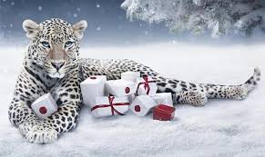 Almost files can be used for commercial. Hd Cartier Wallpapers Peakpx