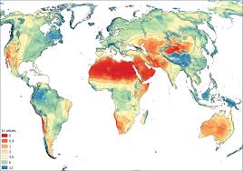 Image result for Balthasaria schliebenii