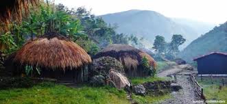 Rumah adat papua yang terakhir adalah rumsram yang dijunjung oleh suku biak numfor. Mengenal Rumah Adat Papua Beserta Penjelasannya Lebih Dalam Kumparan Com