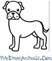 How To Draw A Cute Boxer Dog But every now and then, even adults want to learn to draw cute animals.