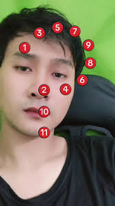 Cara membuat Cactus Lentera #plantsvszombies #plantsvszombies2 #plant...