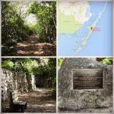 Exploring the park's trails gives visitors a chance to see some of these rare species of plants and animals. Dagny Johnson Key Largo Hammock Botanical State Park Bella Vida By Letty State Parks Florida State Parks Florida Adventures