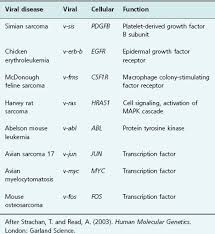 Image result for Oncogene