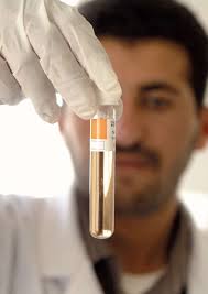 GTZ InDesign-Vorlage für Publikationen