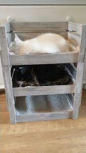 kitty bunk beds cat bunk beds cat house diy cat pet supplies