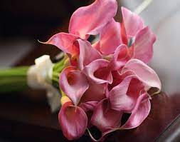 More images for hochzeitsblume calla » Brautstrauss Mit Callas Tolle Ideen Fur Eine Herrschaftliche Blume