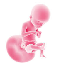 Aber genau das gegenteil ist der fall: 21 Ssw Die Tritte Deines Babys Kannst Du Jetzt Deutlich Spuren