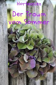 Hortensien Das Wunder Vom Sommer Und Herbst Wichtige Pflegetipps Und Wundervolle Dekoideen Findest Du Hier Hortensien Pflanzen Flora
