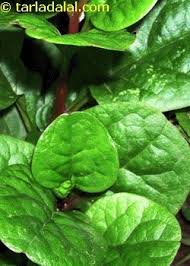 Wani suhas feb 15, 2020 at 4:22 am what is the nsme of abhai chya shenga? Mayalki Bhaji Glossary Health Benefit Recipes With Mayalki Bhaji Tarladalal Com