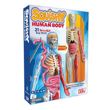 What's especially helpful is that there. Amazon Lowest Price Smartlab Toys Squishy Human Body