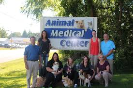 We are open to provide care! Our Veterinarian Team Animal Medical Center