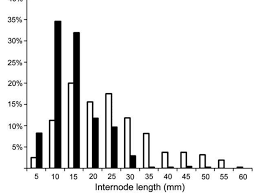 Image result for Warneckea sousae