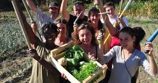 Les Jardins Du Volvestre Premier Chantier D Insertion A Basculer En Scic En France Chantier Jardins Premiers Sons