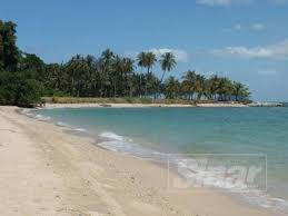 Aug 11, 2021 · the malaysia bar find a job. Pulau Bidan Mampu Tarik Pelancong