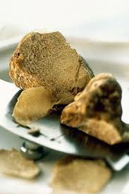 Italianwineandfood Tartufo Bianco Delle Marche Wine Recipes Food Truffle Mushroom