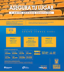Cas confirmés, mortalité, guérisons, toutes les statistiques Wallpapers Tipo De Descarga Tigres Uanl