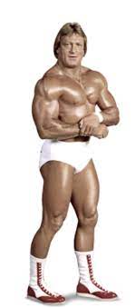 Orndorff was best known as mr. Paul Orndorff Pro Wrestling Fandom