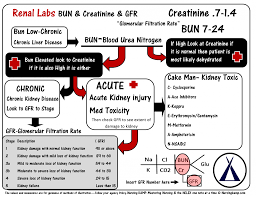 Bun Creatinine Kidney Disease Acute Renal Failue Labs Potassium Hyperkalemia Hypokalemia Hyponatremia Sodium Lab V Nursing Notes Nursing Mnemonics Nursing Labs