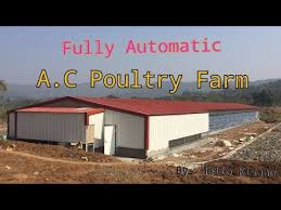 If you have need for chicken cage , contact me at any time. Automatic Poultry Environment Controlled Poultry Shed Price Of Automatic Poultry Youtube